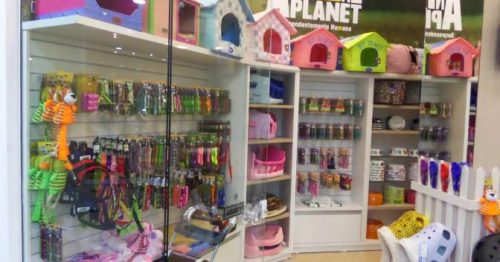 Animal Planet lança franquia no Brasil