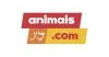 Animais.com